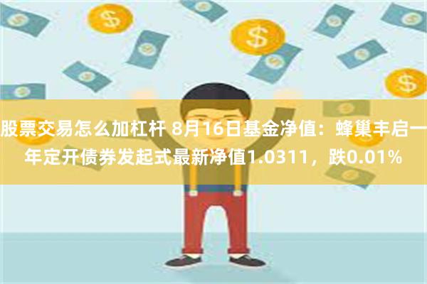 股票交易怎么加杠杆 8月16日基金净值：蜂巢丰启一年定开债券发起式最新净值1.0311，跌0.01%