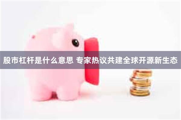 股市杠杆是什么意思 专家热议共建全球开源新生态