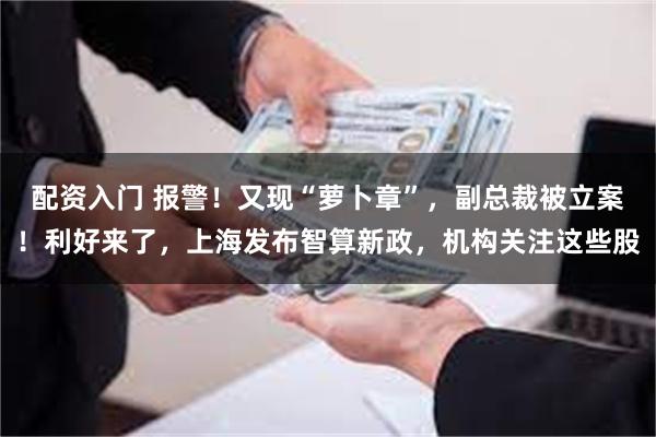 配资入门 报警！又现“萝卜章”，副总裁被立案！利好来了，上海发布智算新政，机构关注这些股