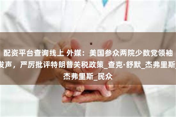 配资平台查询线上 外媒：美国参众两院少数党领袖同日发声，严厉批评特朗普关税政策_查克·舒默_杰弗里斯_民众