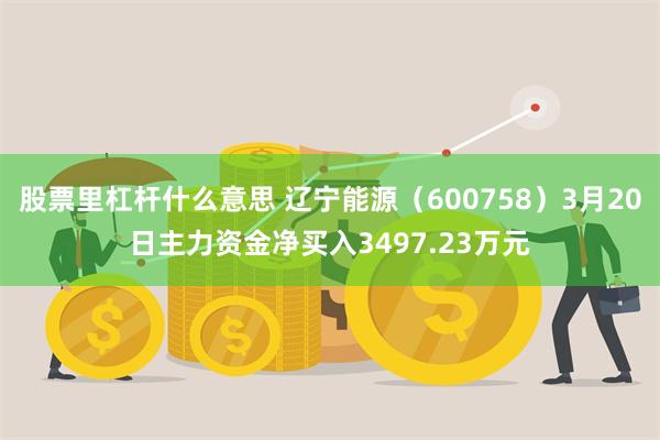 股票里杠杆什么意思 辽宁能源（600758）3月20日主力资金净买入3497.23万元
