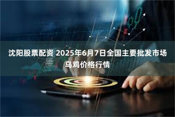 沈阳股票配资 2025年6月7日全国主要批发市场乌鸡价格行情