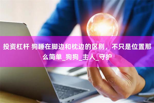 投资杠杆 狗睡在脚边和枕边的区别，不只是位置那么简单_狗狗_主人_守护